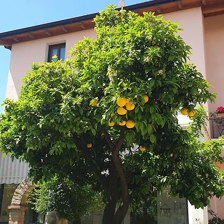 Hotel Fattoria Stocchi Quattromiglio